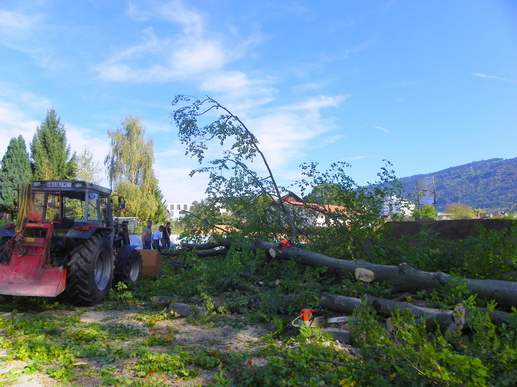 116_4497_JPG-1350858836