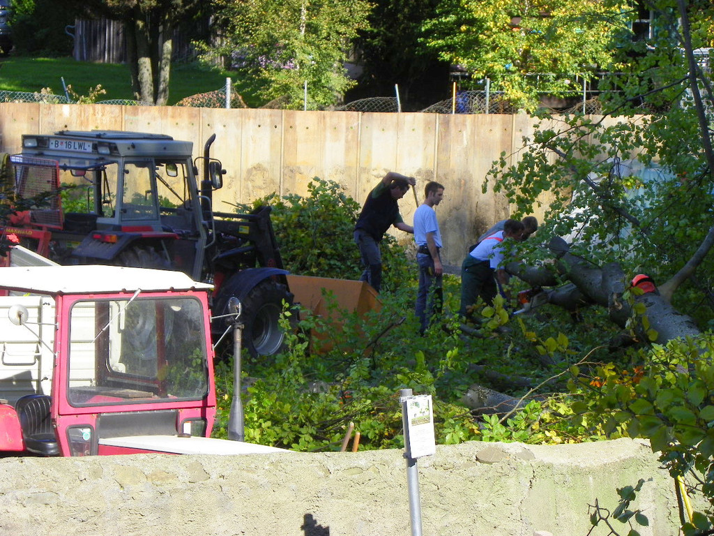 116_4500_JPG-1350858840