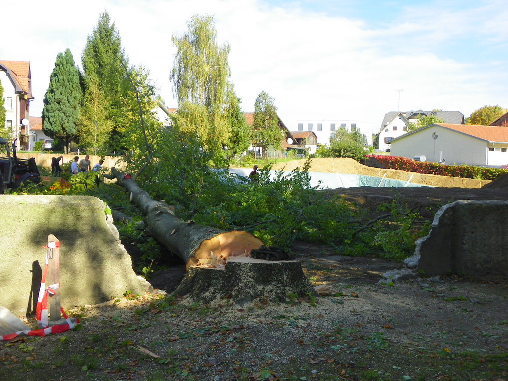 116_4501_JPG-1350858844