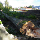 116_4504_JPG-1350858848