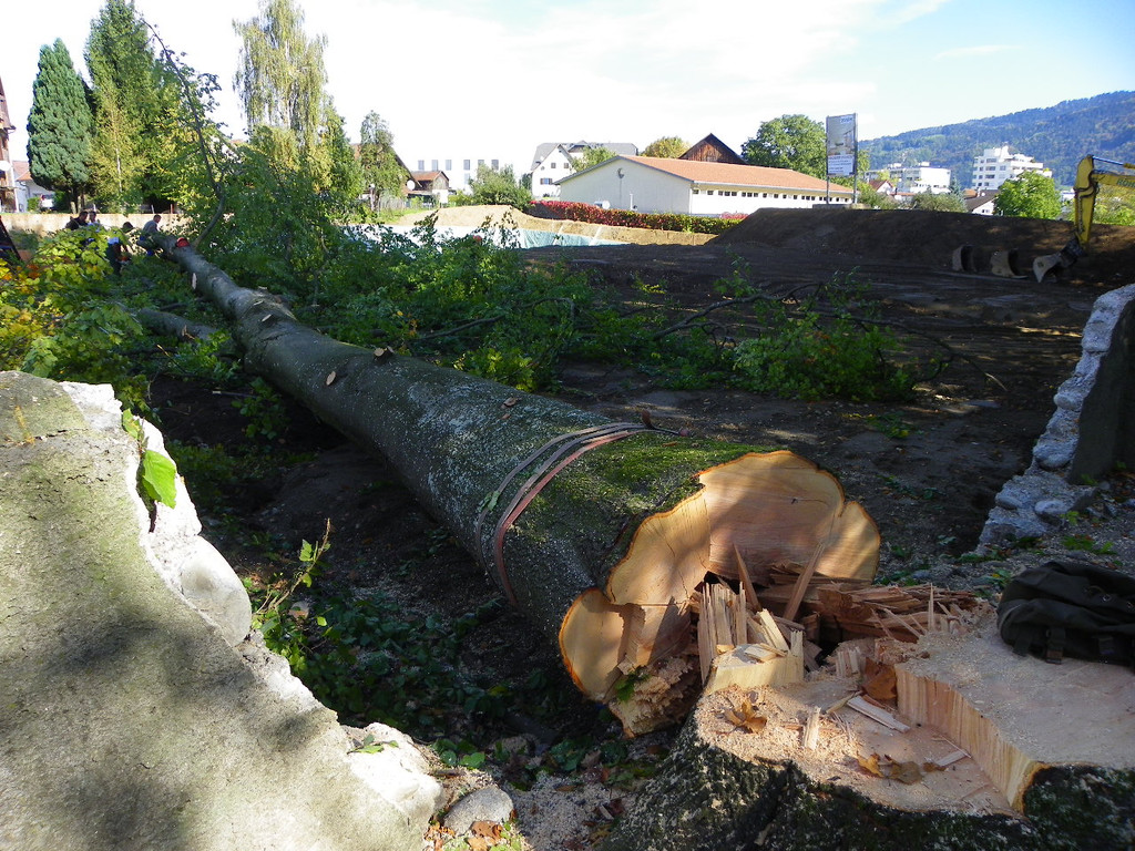 116_4504_JPG-1350858848