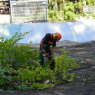 116_4505_JPG-1350858852