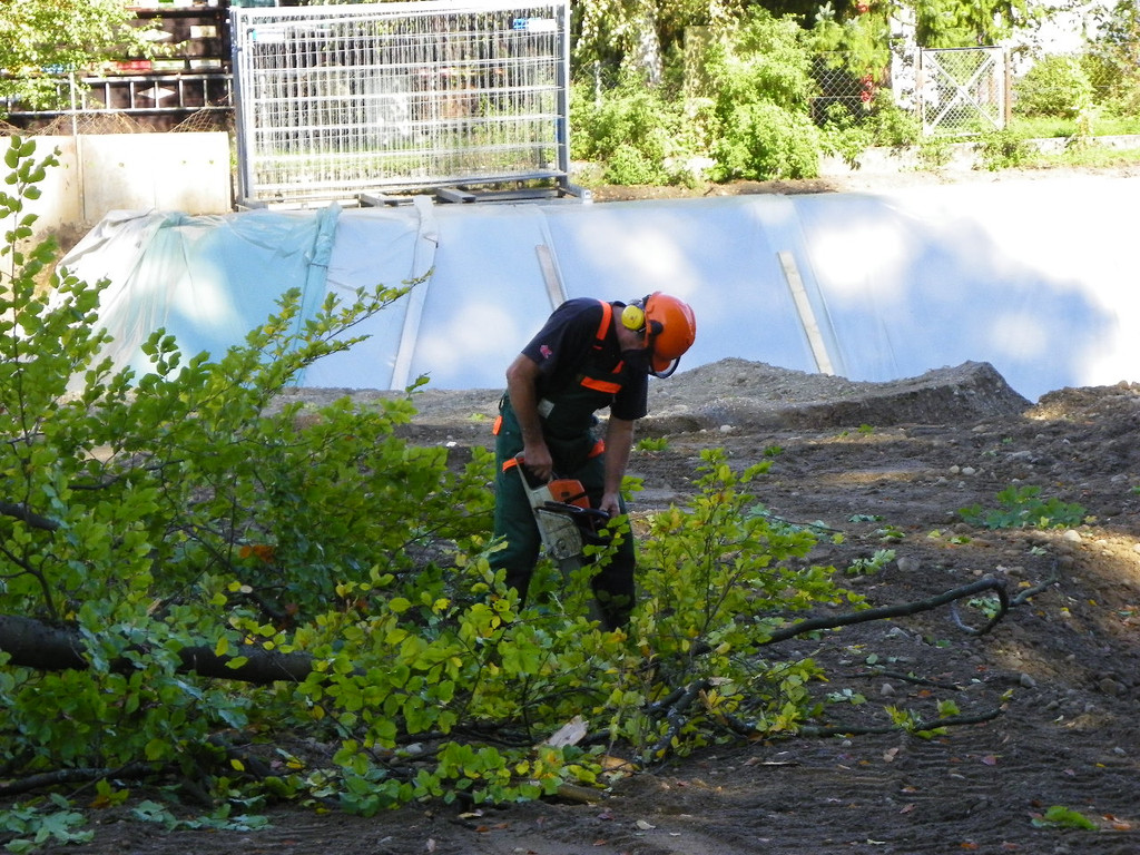 116_4505_JPG-1350858852