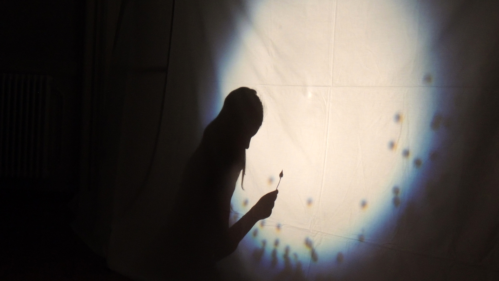 DSCN5252_JPG-1350860879