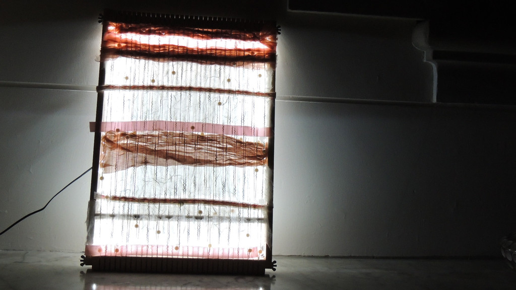 DSCN5256_JPG-1350860891