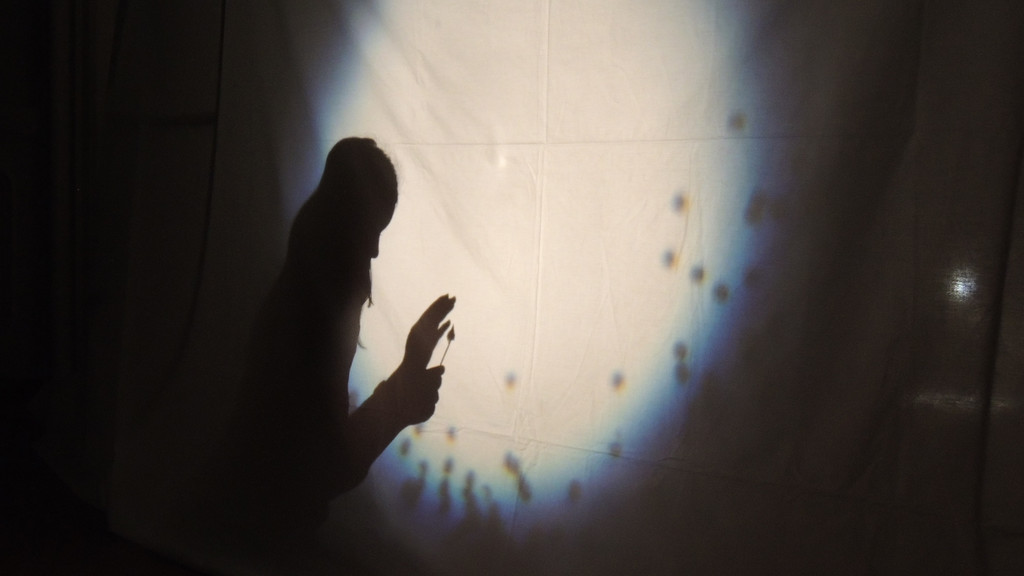 DSCN5253_JPG-1350860883