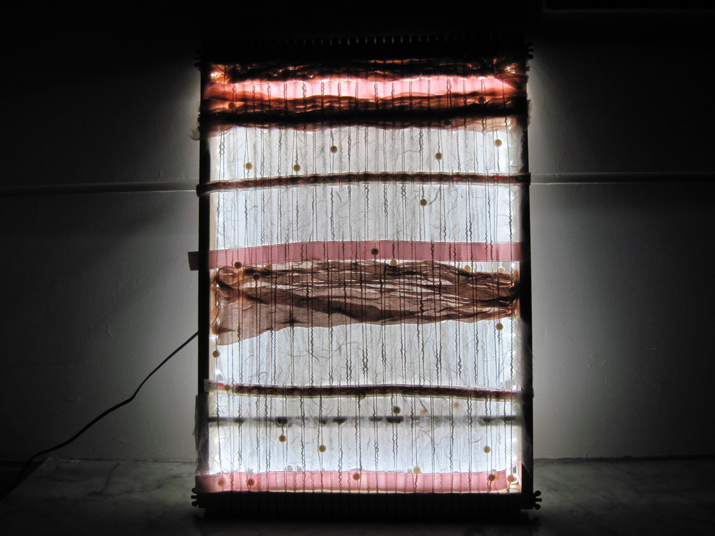 IMG_0247_JPG-1350860949