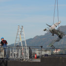 DSCN5313_JPG-1350861784