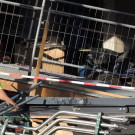 DSCN5323_JPG-1350861819