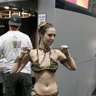 520231156_c89a6c4067_b.jpg