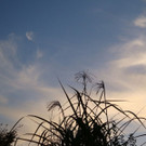normal_21102012FMT_wolkenstimmung_ex_01.jpg