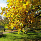 21102012hellbrunnde01007aktivnews_38.jpg