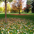 21102012hellbrunnde01007aktivnews_30.jpg