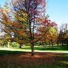 21102012hellbrunnde01007aktivnews_29.jpg
