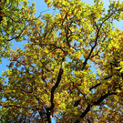 21102012hellbrunnde01007aktivnews_10.jpg