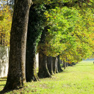 21102012hellbrunnde01007aktivnews_15.jpg