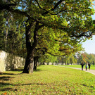 21102012hellbrunnde01007aktivnews_14.jpg