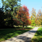 21102012hellbrunnde01007aktivnews_27.jpg