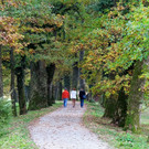 21102012hellbrunnde01007aktivnews_22.jpg