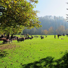 21102012hellbrunnde01007aktivnews_02.jpg