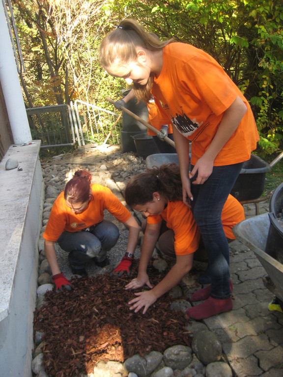 grilla_jpg 036_jpg-1350901503