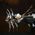 IMGP0006_JPG-1350911263