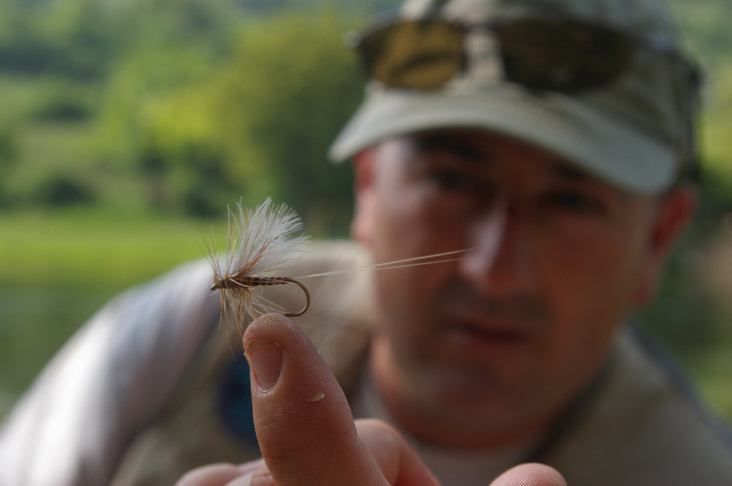 IMGP5805_JPG-1350911265