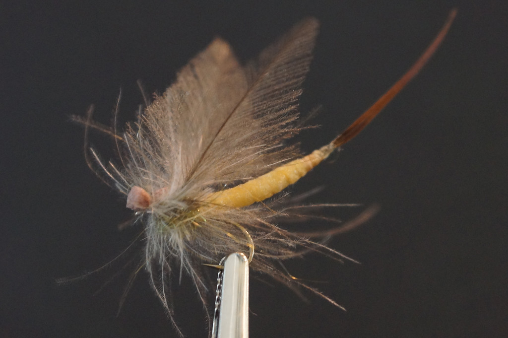 Fliege_jpg-1350913300