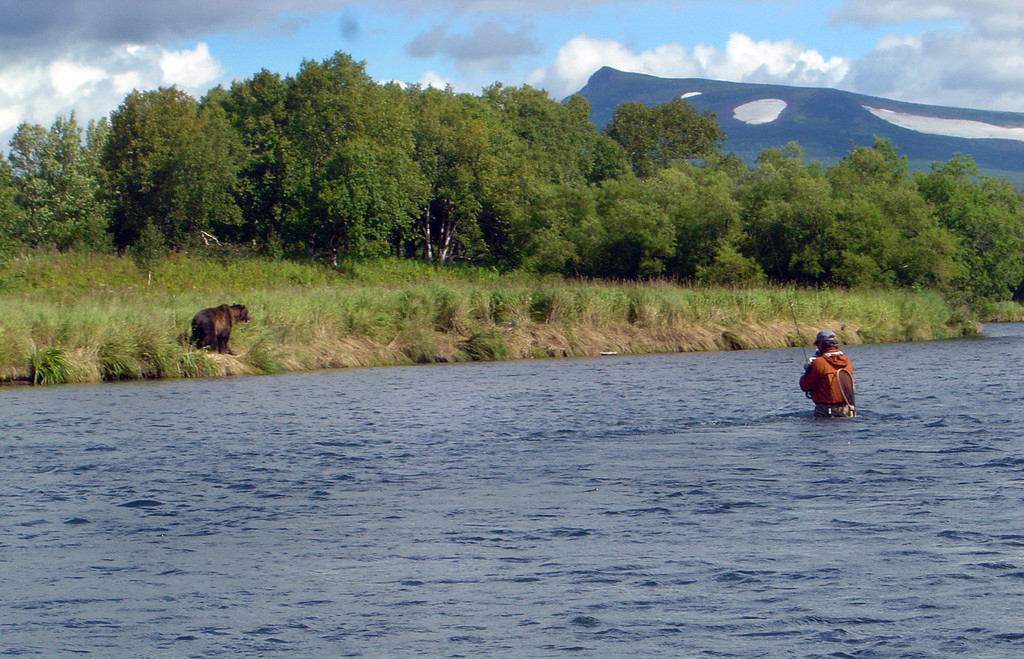 Bear300_jpg-1350913640