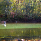 Switch improved_jpg-1350914136