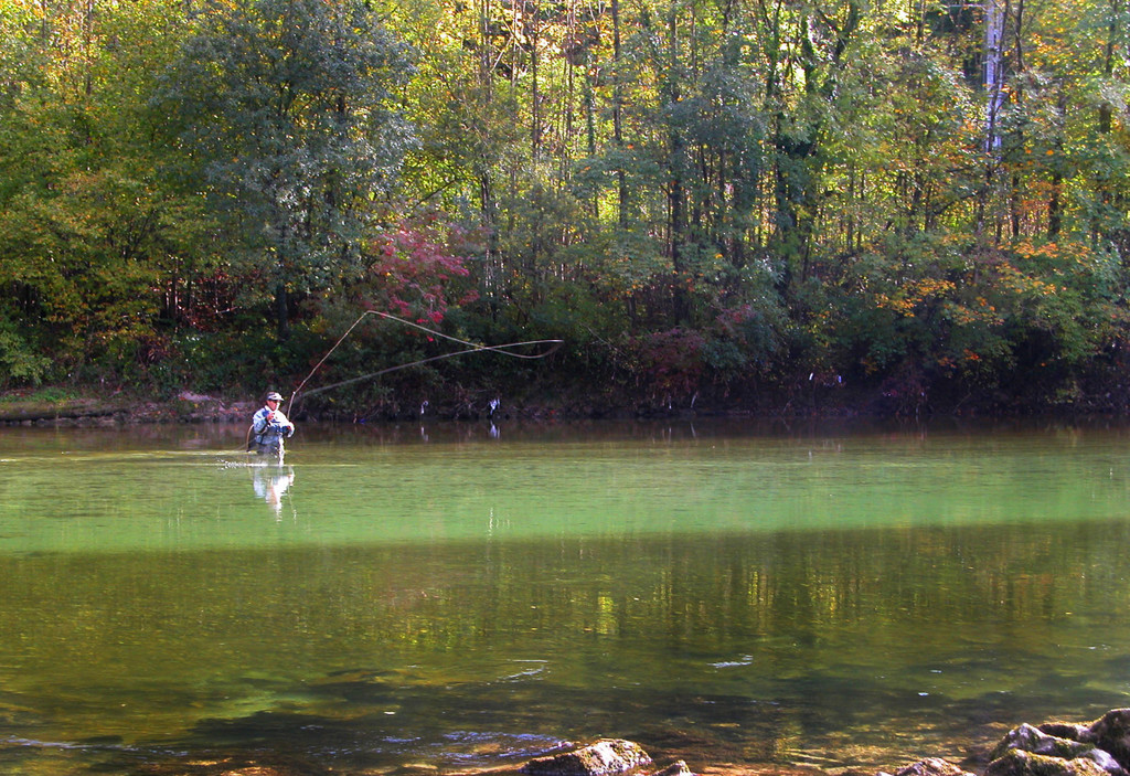 Switch improved_jpg-1350914136