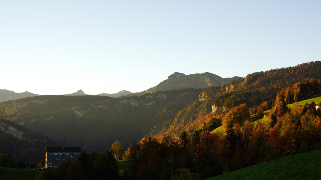 DSC087.jpg
