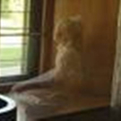 famous-ghost.jpg