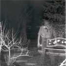 garden_ghost.jpg