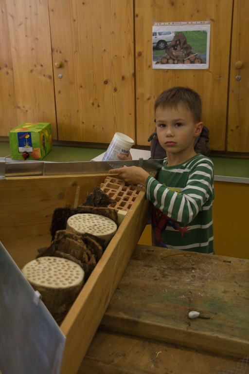 IMG_0417_Bildgr____e __ndern_jpg-1350970482