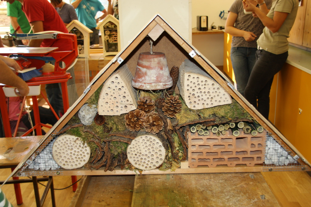 IMG_0445_Bildgr____e __ndern_JPG-1350970530