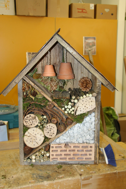 IMG_0442_Bildgr____e __ndern_JPG-1350970558