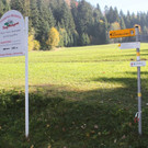 Eichenberg Sanierung Zufahrt Fesslerhof OKT 2012 _2__jpg-1350973760
