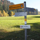 Eichenberg Sanierung Zufahrt Fesslerhof OKT 2012 _3__jpg-1350973767