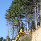 Eichenberg Sanierung Zufahrt Fesslerhof OKT 2012 _7__jpg-1350973794