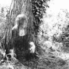 paranormal-pic.jpg
