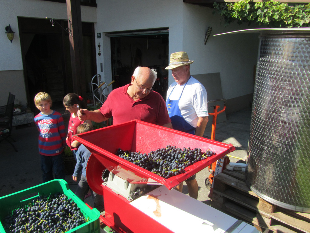hoechst_weinbau02_jpg-1350981292