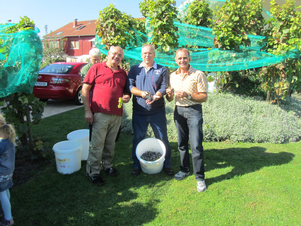 hoechst_weinbau03_jpg-1350981317