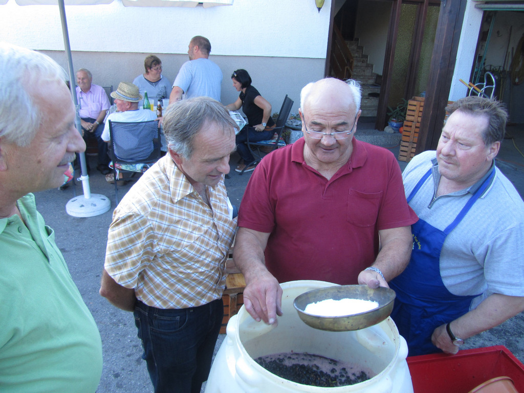 hoechst_weinbau07_jpg-1350981386