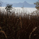 normal_23102012fmt_gaisberg_ta_019.JPG