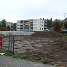 01011902_jpg-1351009464