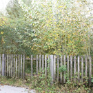 IMG_3825.jpg