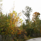 IMG_3828.jpg