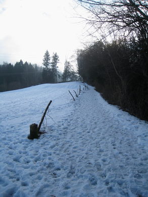 Wanderung Pf__nder Winter 2010 _7_.jpg