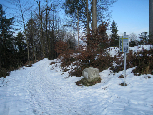 Wanderung Pf__nder Winter 2010 _9_.jpg